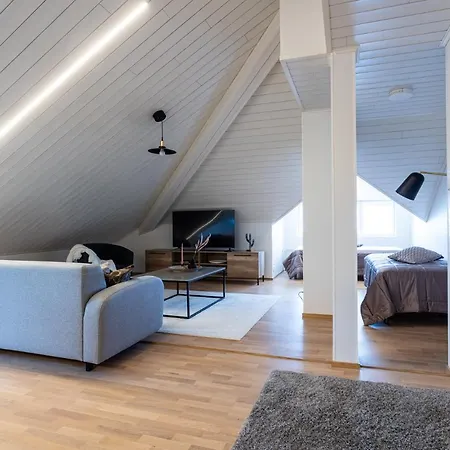 Apartment Tilava Kattohuoneisto Ydinkeskustassa, Edullinen Parkkipaikka Autolle Laehellae Kuopio