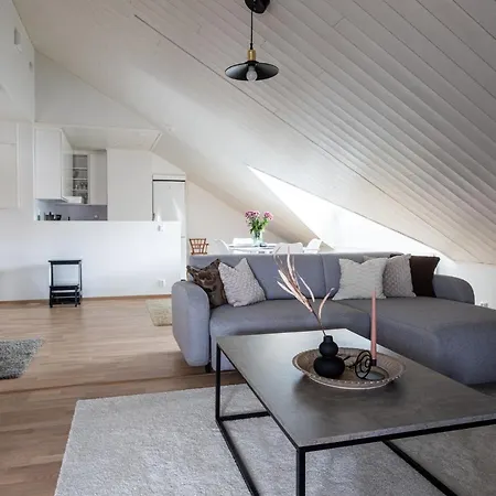 Apartment Tilava Kattohuoneisto Ydinkeskustassa, Edullinen Parkkipaikka Autolle Laehellae *