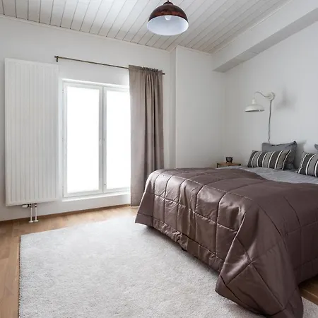 Tilava Kattohuoneisto Ydinkeskustassa, Edullinen Parkkipaikka Autolle Laehellae Apartment