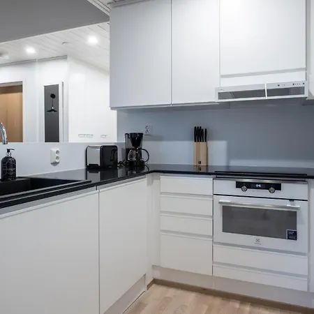 Tilava Kattohuoneisto Ydinkeskustassa, Edullinen Parkkipaikka Autolle Laehellae