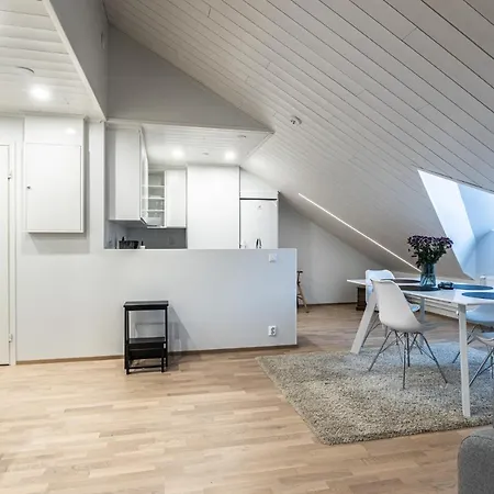 Tilava Kattohuoneisto Ydinkeskustassa, Edullinen Parkkipaikka Autolle Laehellae Apartment Kuopio