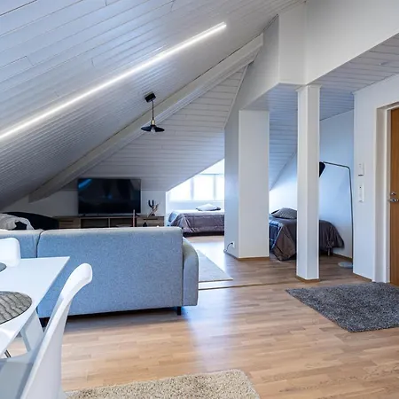 Tilava Kattohuoneisto Ydinkeskustassa, Edullinen Parkkipaikka Autolle Laehellae