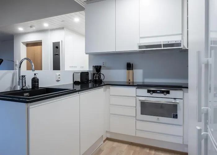 Tilava Kattohuoneisto Ydinkeskustassa, Edullinen Parkkipaikka Autolle Laehellae