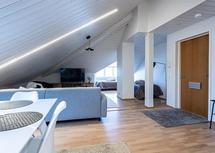 Tilava Kattohuoneisto Ydinkeskustassa, Edullinen Parkkipaikka Autolle Laehellae